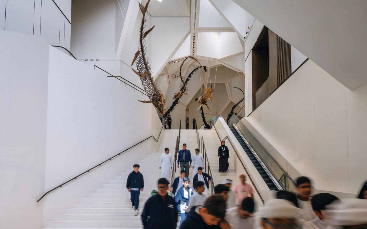 Dinosaur skeleton displayed above visitors in the museum atrium