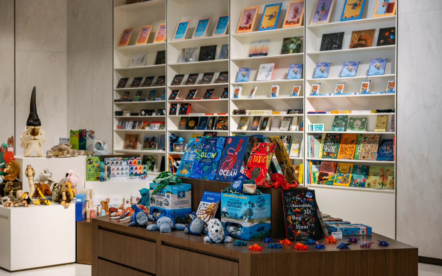 Books, educational gifts and souvenirs displayed in the museum shop 