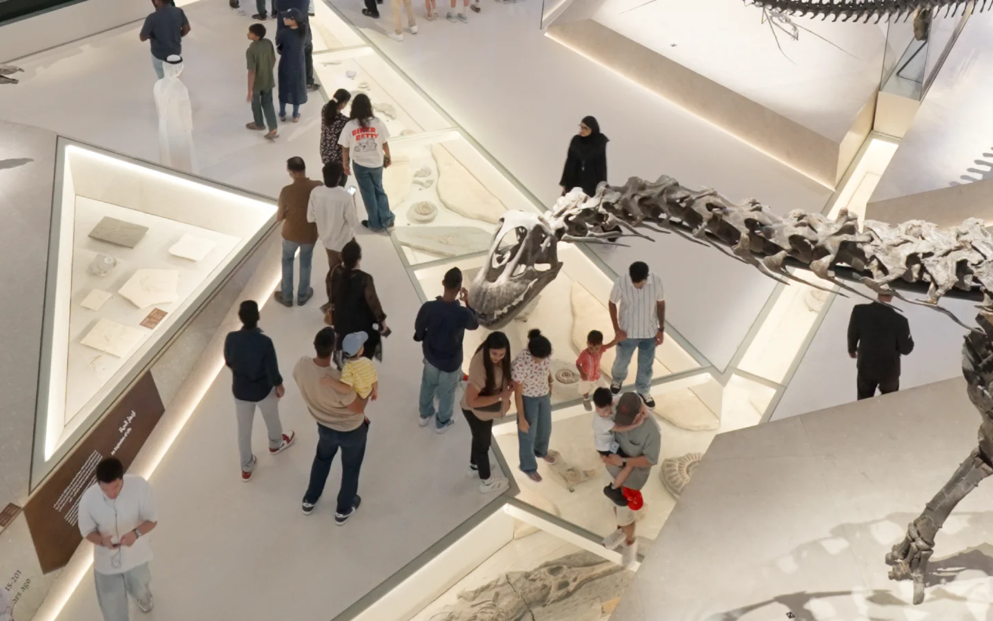 Visitors walking beneath a dinosaur skeleton during Summer of Discovery programmes 