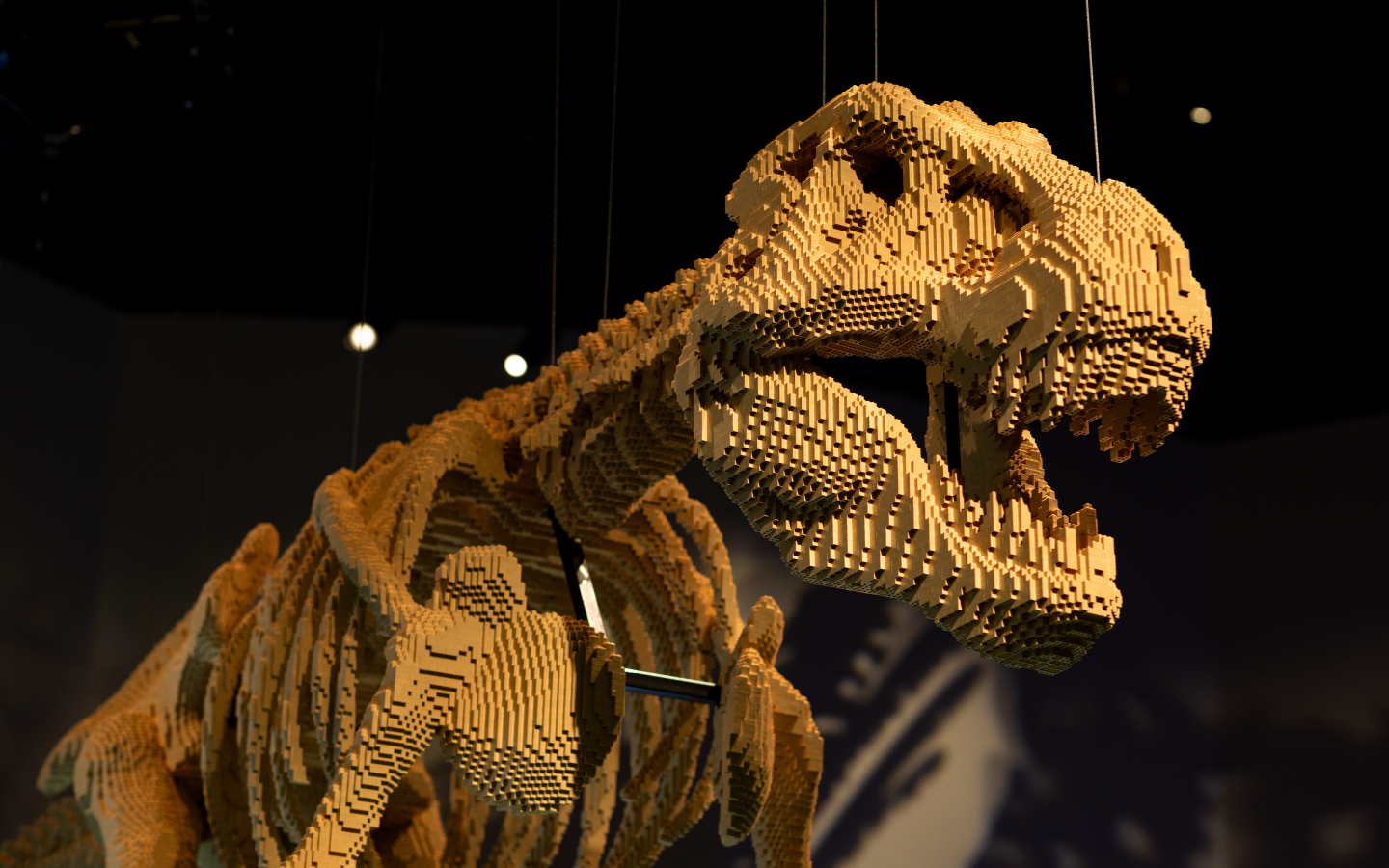 Natural_History_Museum_Abudhabi_Desktop_LEGO