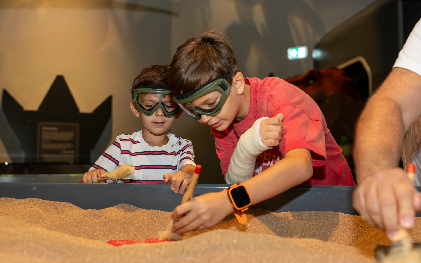 Natural_History_Museum_Abudhabi_Desktop- LEGO