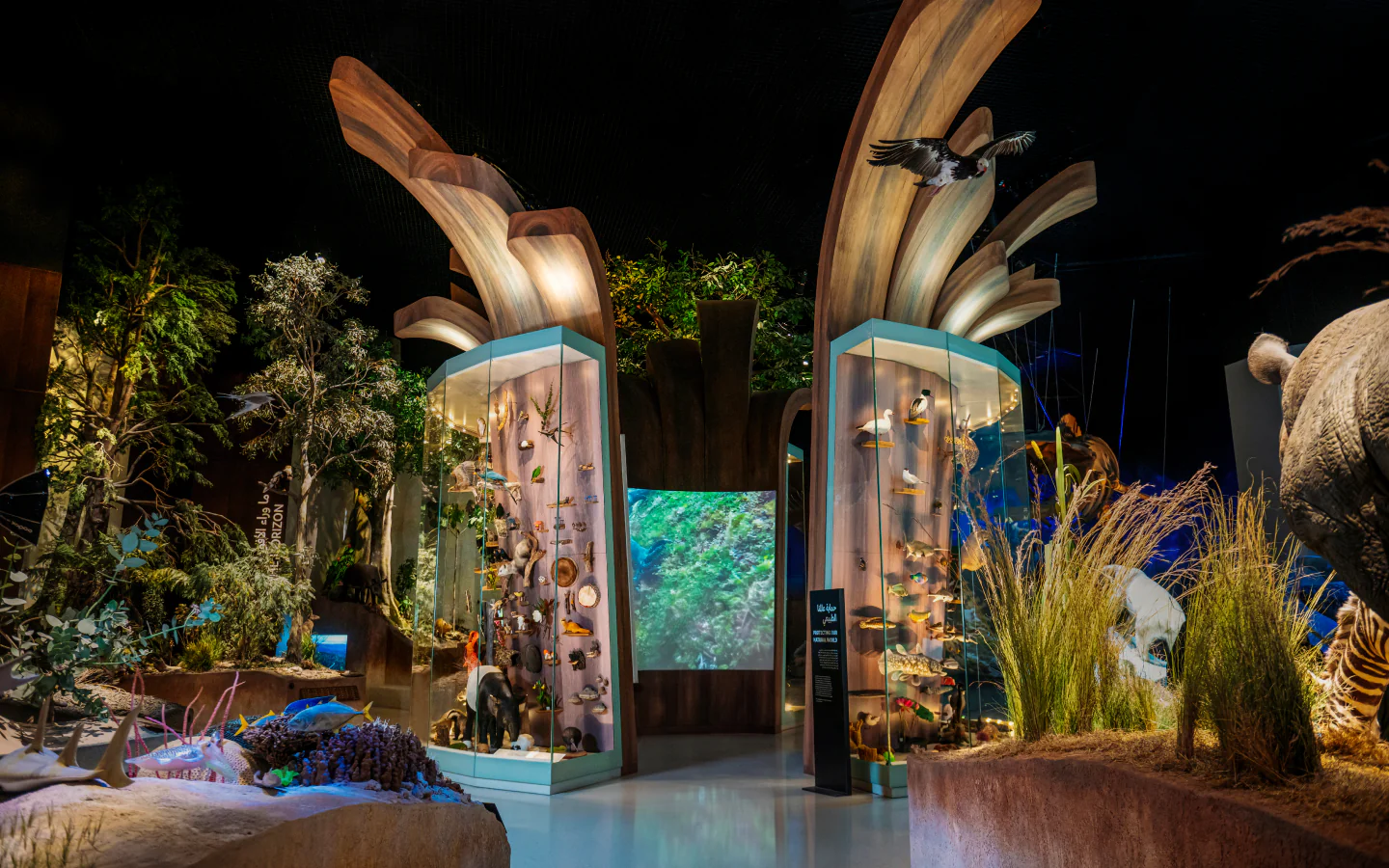 Immersive biodiversity displays inside the Our World gallery