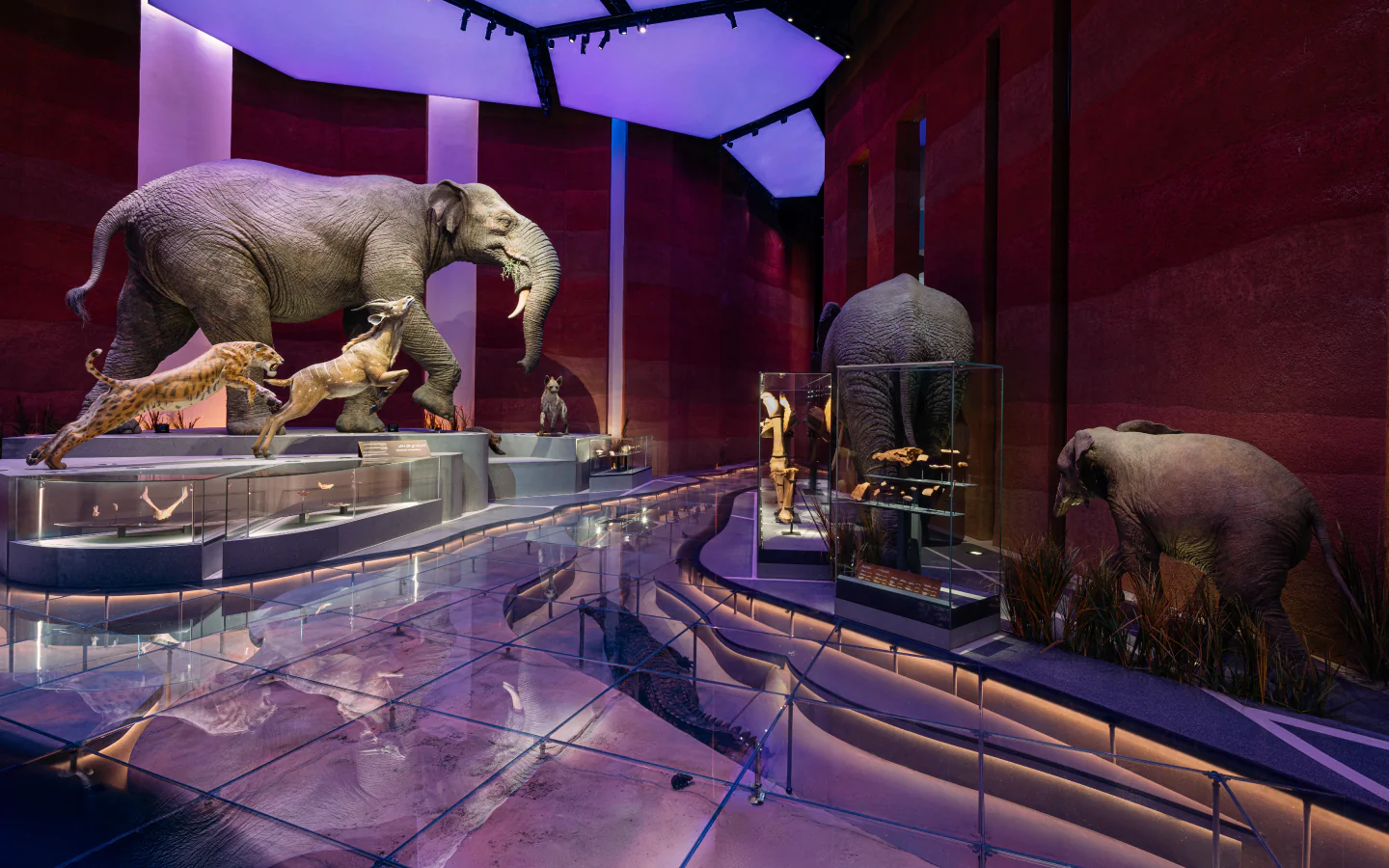Prehistoric elephant reconstruction in The Lost World of Abu Dhabi gallery 