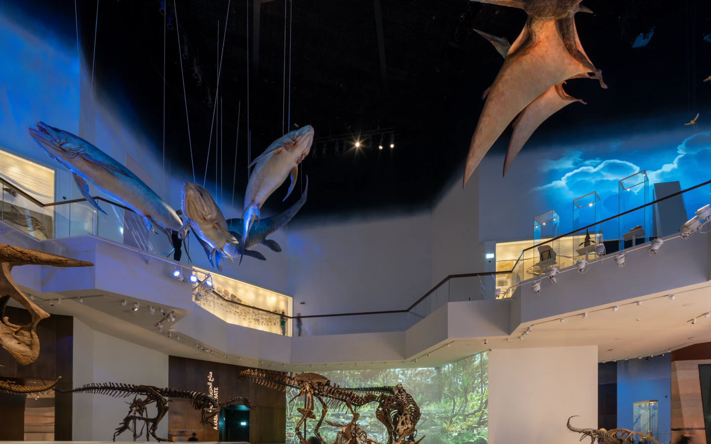Suspended marine life models and prehistoric fossils in the Evolving World Gallery at Natural History Museum Abu Dhabi