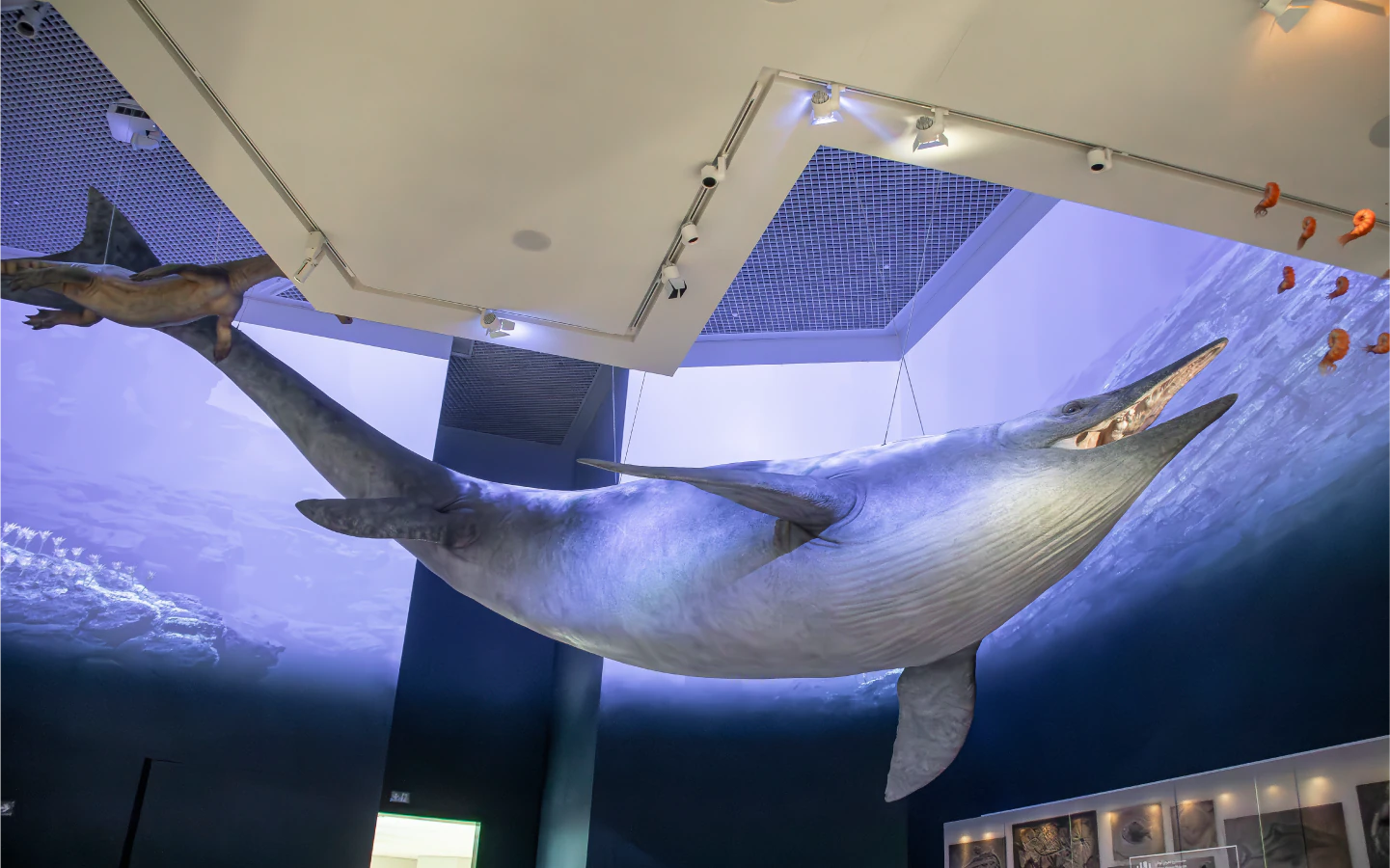 Large marine reptile exhibit in the Deep Sea Biome at Natural History Museum Abu Dhabi