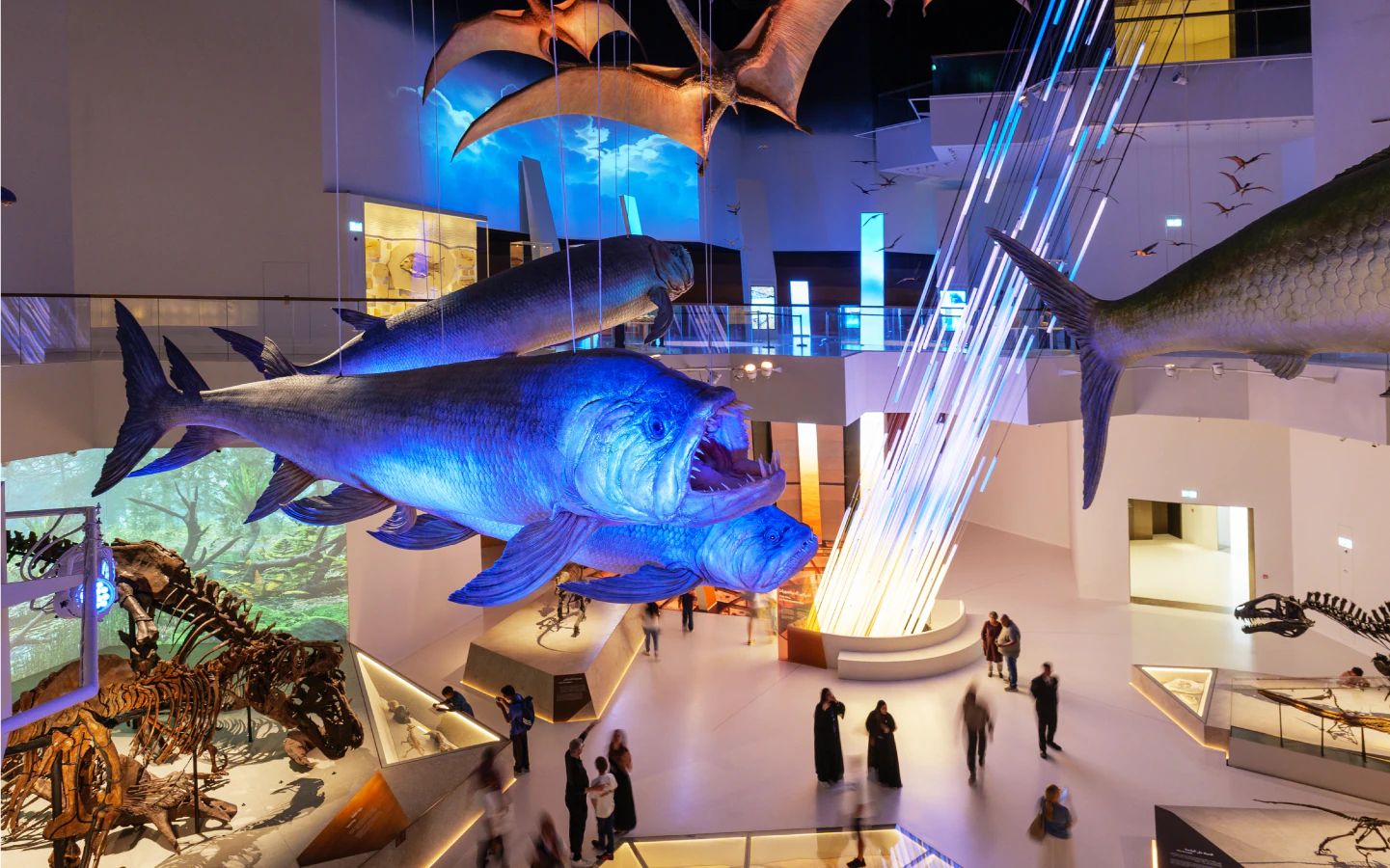 Visitors exploring marine life exhibits in the Our World Gallery at Natural History Museum Abu Dhabi